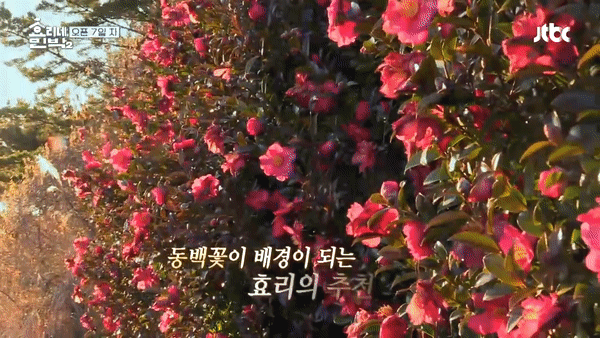 Yoona & Park Bo Gum cùng nhau tạo dáng: Đẹp hơn cả hoa! - Ảnh 2.