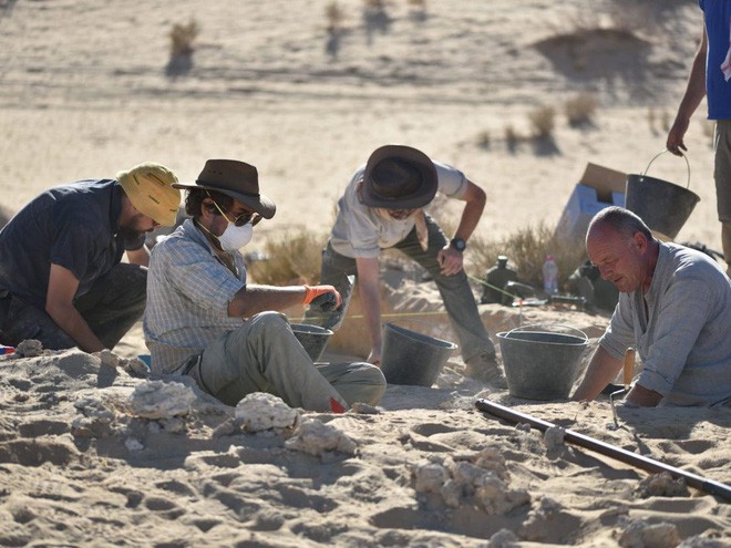 Hóa thạch 85.000 năm tuổi ở Saudi Arabia ẩn chứa bí mật mới của loài người - Ảnh 2.