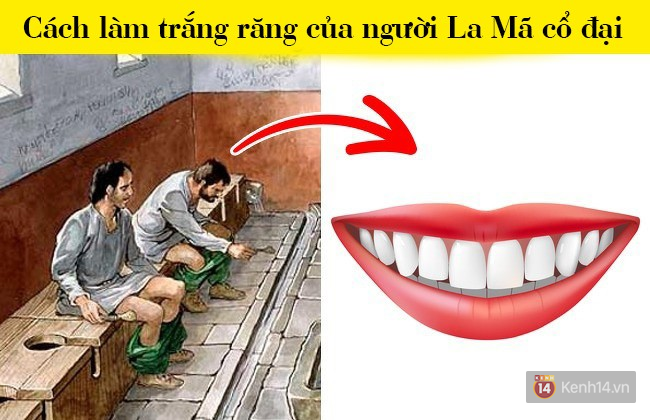 7 sự thật lạ lùng đến khó tin, đặc biệt là cái số 4 - đọc xong phái đẹp ai cũng nhìn vòng 1 của mình - Ảnh 1.