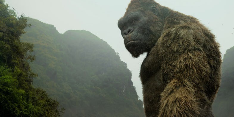 5 ch&agrave;ng Kong trong lịch sử Hollywood, kh&ocirc;ng t&ecirc;n khỉ khổng lồ n&agrave;o lầy bằng George của Rampage - Ảnh 5.