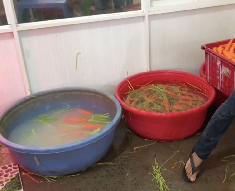 TP.HCM: Bắt quả tang 4 cơ sở dùng hóa chất độc hại tẩy trắng hơn 6 tấn củ cải, cà rốt để tuồn ra thị trường - Ảnh 2. TP.HCM: Bắt quả tang 4 cơ sở dùng hóa chất độc hại tẩy trắng hơn 6 tấn củ cải, cà rốt để tuồn ra thị trường - Ảnh 2.