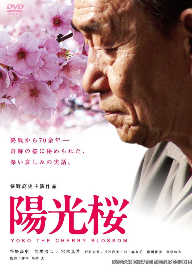 4 bộ phim khiến bạn rơi vào lưới tình với hoa anh đào Nhật Bản - Ảnh 10.
