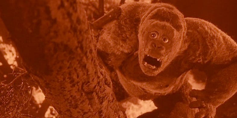 5 ch&agrave;ng Kong trong lịch sử Hollywood, kh&ocirc;ng t&ecirc;n khỉ khổng lồ n&agrave;o lầy bằng George của Rampage - Ảnh 3.