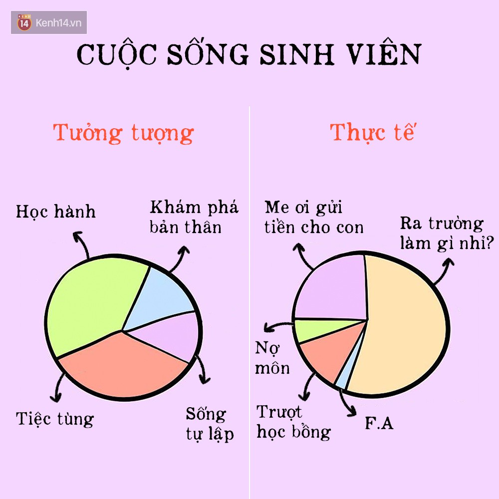 Bộ Tranh Phơi Bày Hiện Thực Của Cuộc Sống Sinh Viên Mà Ai Cũng Gật Gù Vì Quá Chuẩn 7667