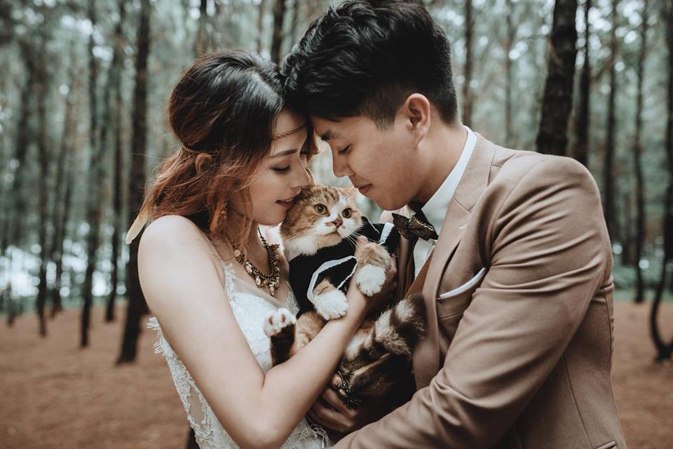 Boss bất ngờ chiếm spotlight trong bộ ảnh cưới của sen: Bọn cute này nguy hiểm quá đi mất! - Ảnh 1. Boss bất ngờ chiếm spotlight trong bộ ảnh cưới của sen: Bọn cute này nguy hiểm quá đi mất! - Ảnh 1.