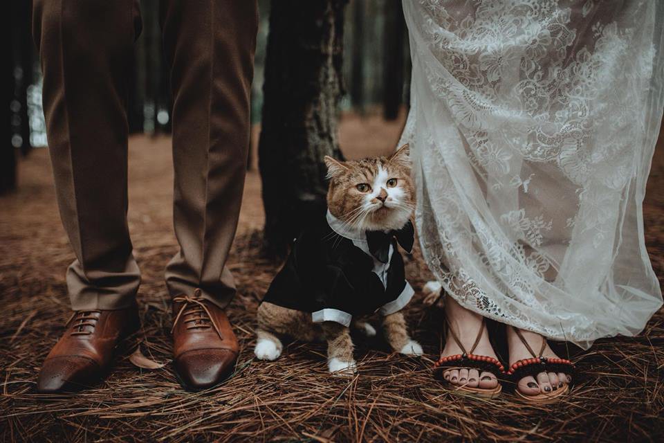 Boss bất ngờ chiếm spotlight trong bộ ảnh cưới của sen: Bọn cute này nguy hiểm quá đi mất! - Ảnh 2. Boss bất ngờ chiếm spotlight trong bộ ảnh cưới của sen: Bọn cute này nguy hiểm quá đi mất! - Ảnh 2.