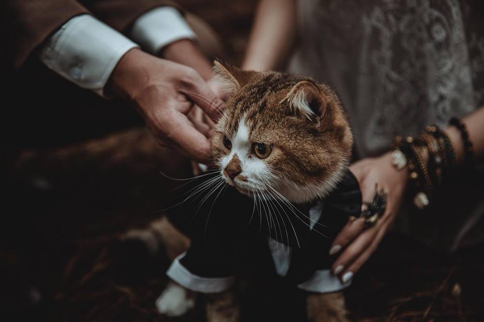 Boss bất ngờ chiếm spotlight trong bộ ảnh cưới của sen: Bọn cute này nguy hiểm quá đi mất! - Ảnh 3. Boss bất ngờ chiếm spotlight trong bộ ảnh cưới của sen: Bọn cute này nguy hiểm quá đi mất! - Ảnh 3.