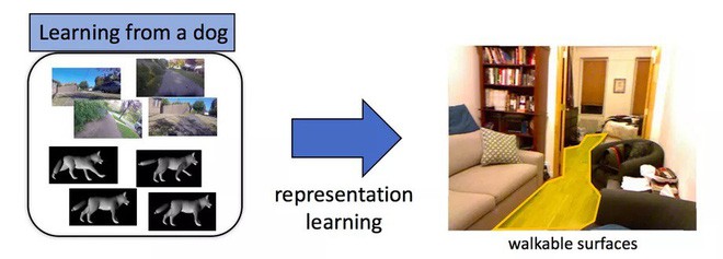Các nhà nghiên cứu dạy AI cách suy nghĩ như một chú chó, biết tìm hiểu thế giới xung quanh - Ảnh 3.