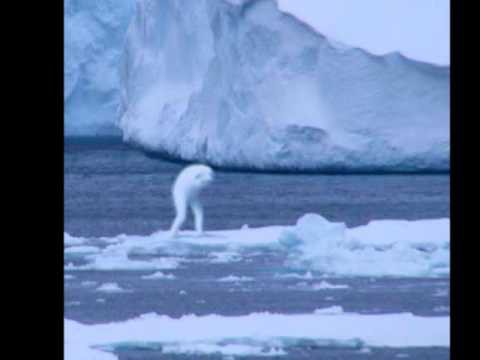 Huyền thoại quái vật Ningen dài 30 mét ở Nam Cực: Quá sức vô tích sự, tới mức khoa học còn chẳng thèm tìm kiếm hay nghiên cứu làm gì - Ảnh 6.