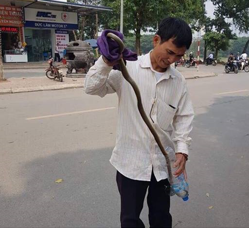 Hà Nội: Người dân ở chung cư Linh Đàm lo lắng khi liên tục phát hiện rắn rơi từ trên cao xuống - Ảnh 1.