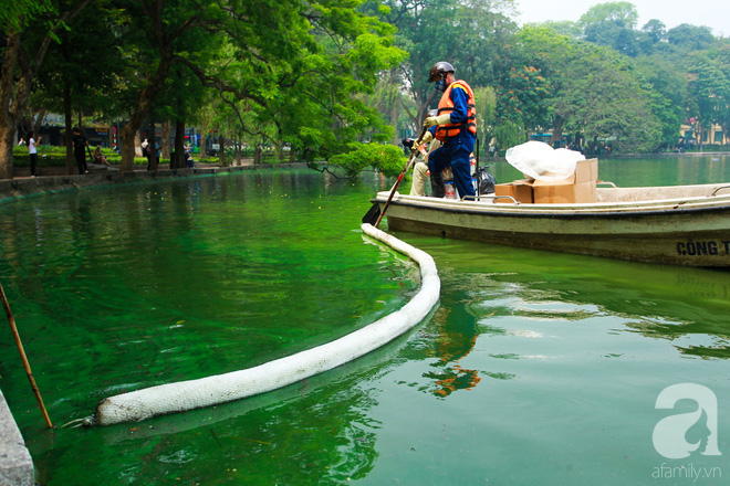 Sáng 17/4 nước Hồ Gươm bỗng xanh bất thường, phát hiện có tảo độc - Ảnh 11.