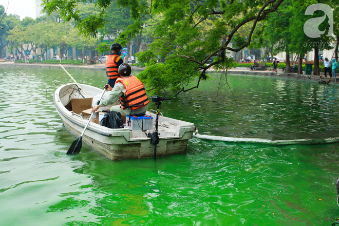 Sáng 17/4 nước Hồ Gươm bỗng xanh bất thường, phát hiện có tảo độc - Ảnh 12.