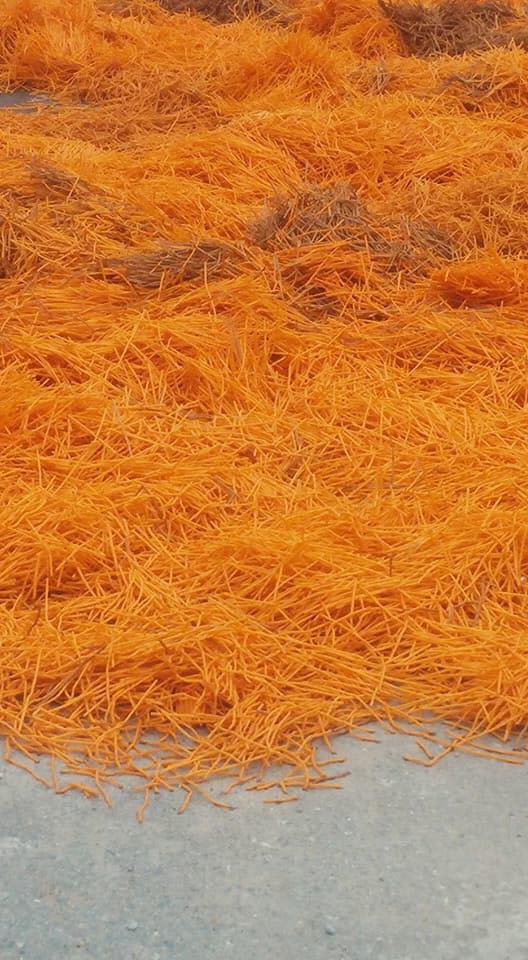 Nhiều sợi màu da cam giống bim bim que được phơi đầy lòng đường ở Thạch Thất - Ảnh 2.