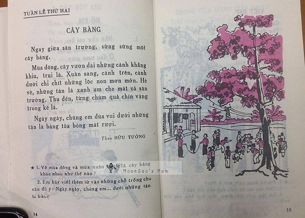 Bạn còn nhớ cuốn sách Tập Đọc thời đi học với những bài văn, bài thơ đi theo năm tháng? - Ảnh 8.