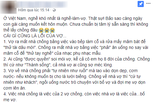 Nghề khó nhất chính là nghề làm vợ - bài viết làm dậy sóng MXH, ai đọc cũng thấy mình trong đó - Ảnh 1.