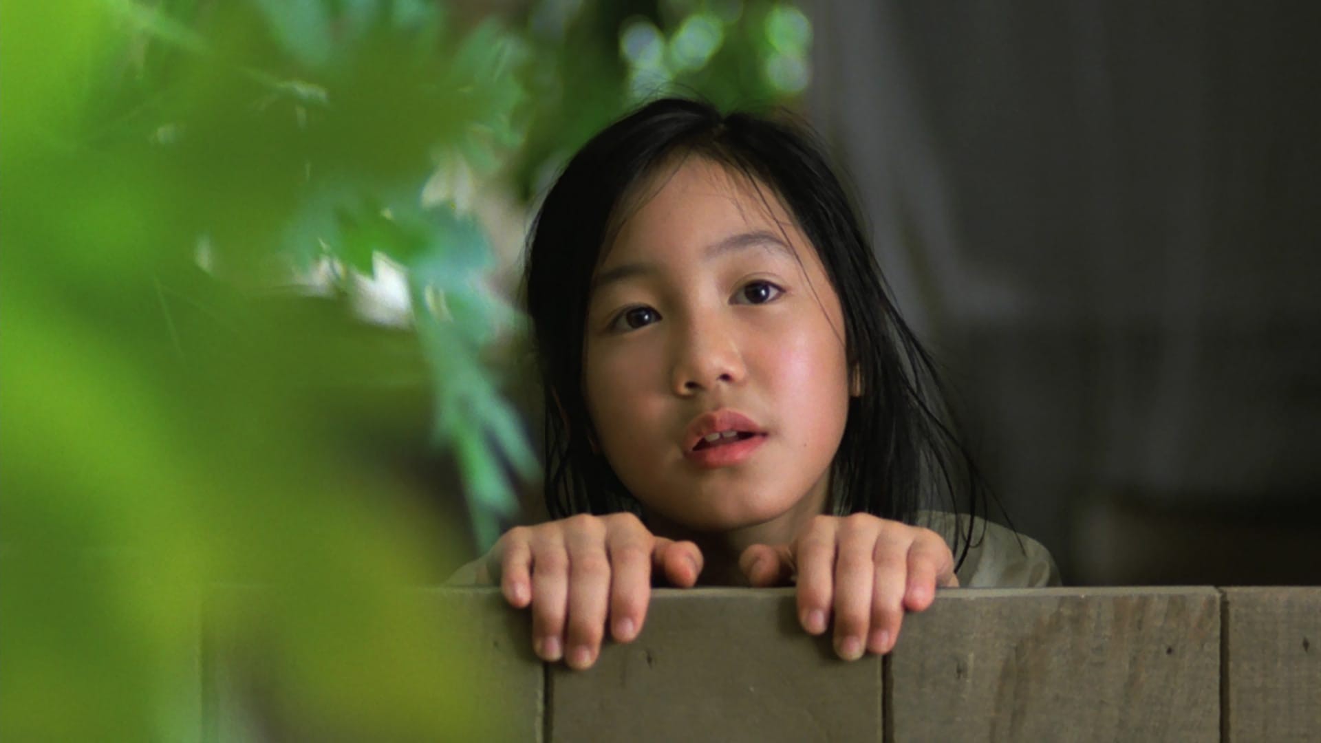 25 năm rồi, nhưng Mùi Đu Đủ Xanh vẫn là một ký ức ngào ngạt thơm mà Trần Anh Hùng dành tặng Việt Nam - Ảnh 1. 25 năm rồi, nhưng Mùi Đu Đủ Xanh vẫn là một ký ức ngào ngạt thơm mà Trần Anh Hùng dành tặng Việt Nam - Ảnh 1.