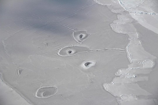 Các lỗ bí ẩn ở Bắc Băng Dương làm NASA bối rối - Ảnh 1.