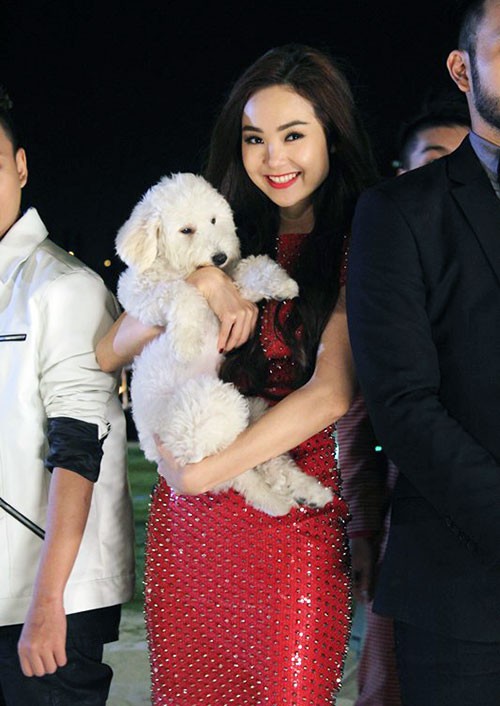 Trước Đức Phúc, đã có Angela Phương Trinh và Minh Hằng cũng bế chó đi dự sự kiện - Ảnh 4.