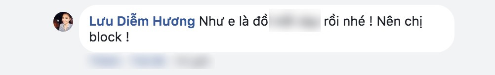 Bị dân mạng công kích, Diễm Hương gay gắt đáp lại: Chị không phải Hoa hậu mới nhú để mà bắt nạt - Ảnh 7.
