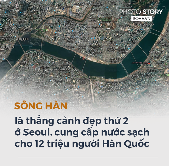 Xung quanh cây thông gắn kết Tổng thống Hàn Quốc Moon Jae-in và lãnh đạo Triều Tiên Kim Jong-un - Ảnh 11.