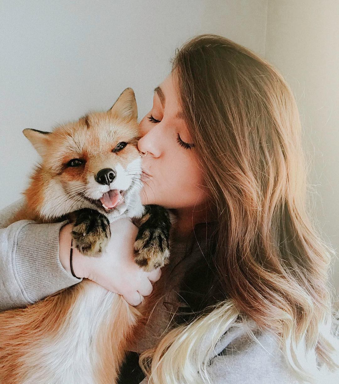 Gặp gỡ Juniper - Con cáo hớn hở nhất thế giới! - Ảnh 2.