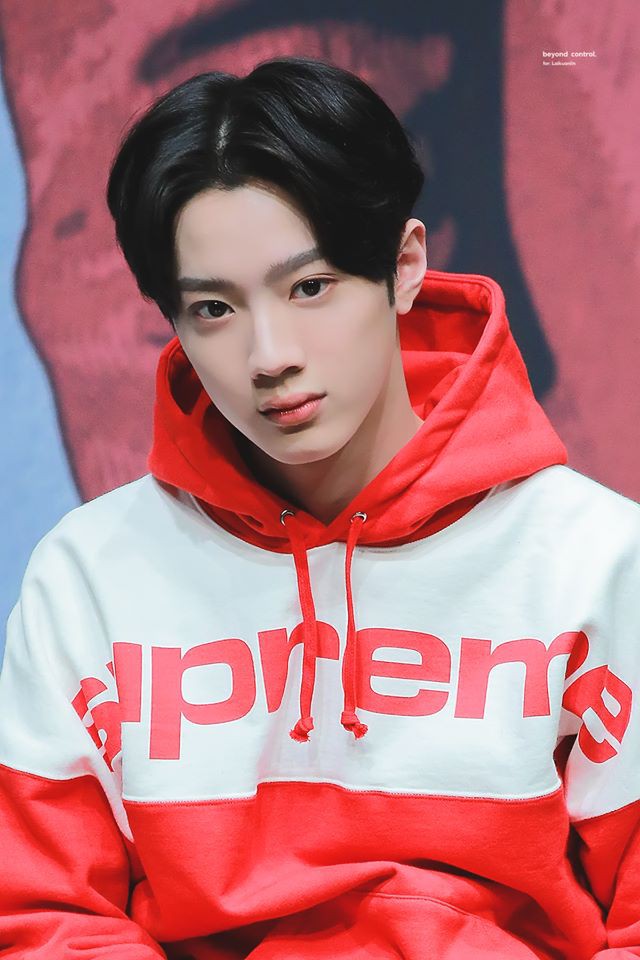Em &uacute;t Wanna One được đi show ri&ecirc;ng, fan mừng rơi nước mắt - Ảnh 1.