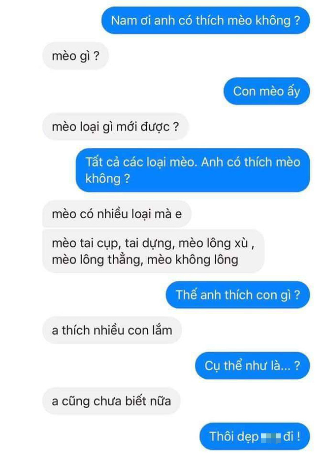 Thả thử thính đang hot Anh có thích mèo không?, hàng loạt thanh niên thất bại vì crush quá đa nghi - Ảnh 2.