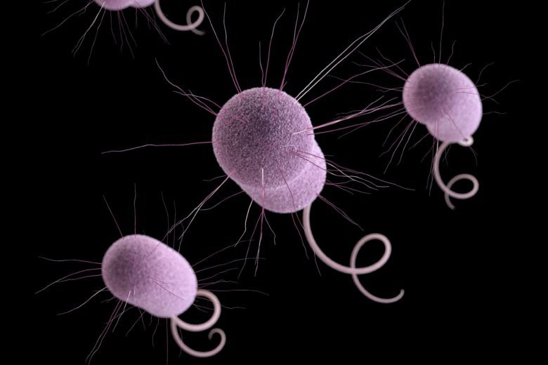 CDC Hoa Kỳ cảnh báo: Vi khuẩn ác mộng đang lan ra trên toàn nước Mỹ - Ảnh 2. CDC Hoa Kỳ cảnh báo: Vi khuẩn ác mộng đang lan ra trên toàn nước Mỹ - Ảnh 2.