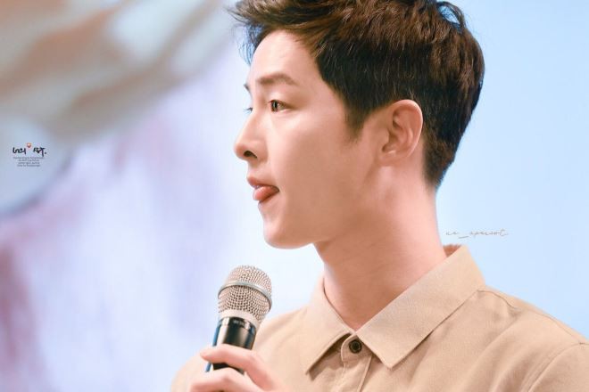 Song Joong Ki, Park Bo Gum và Jung Hae In: 3 chàng tài tử đẹp như tiên hạ phàm đang khiến cả châu Á điên đảo - Ảnh 11.