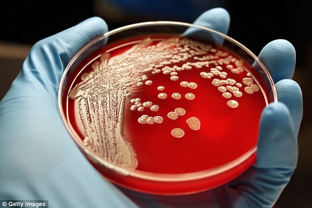 Báo cáo mới nhất về tình hình kháng kháng sinh tại Mỹ: Siêu vi khuẩn lây lan ngoài sức tưởng tượng - Ảnh 2.