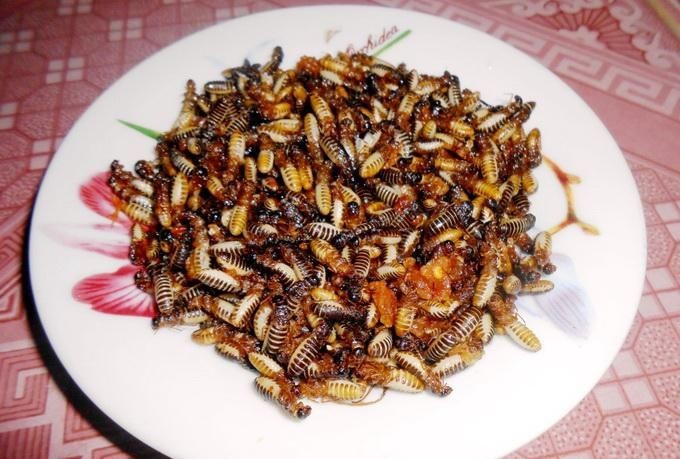 Sâu, gián, mối: những món ăn nghe tên thôi đã phát hoảng nhưng lại là đặc sản ở nhiều nước - Ảnh 4. Sâu, gián, mối: những món ăn nghe tên thôi đã phát hoảng nhưng lại là đặc sản ở nhiều nước - Ảnh 4.