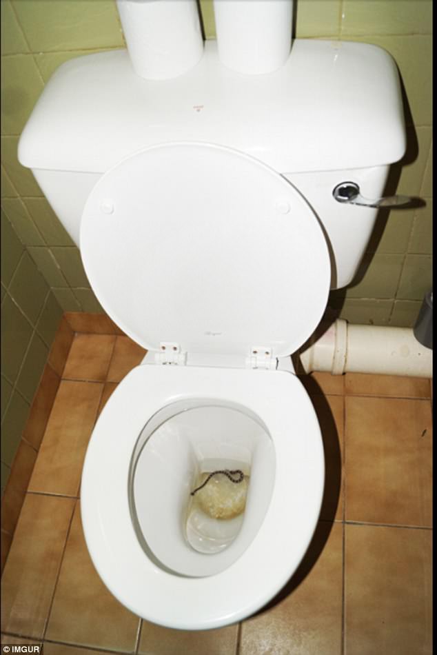 Hài hước và dí dỏm với 399 mẫu Tranh treo WC tranh trang trí Nhà vệ sinh  Toilet cho Quán ăn Cafe Nhà hàng Quán nhậu