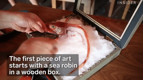 Những phần sashimi sống động có chút rợn người thế này bạn có dám thử không? - Ảnh 3.