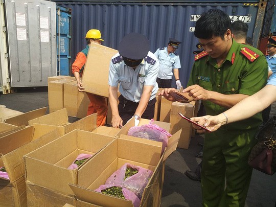 Phát hiện 2,5 tấn ma túy cực độc tại cảng Hải Phòng - Ảnh 6.