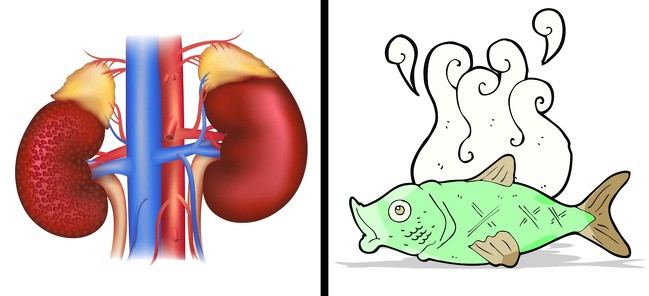 Hơi thở có mùi lạ cũng là một dấu hiệu sức khỏe mà bạn không nên xem thường - Ảnh 6. Hơi thở có mùi lạ cũng là một dấu hiệu sức khỏe mà bạn không nên xem thường - Ảnh 6.