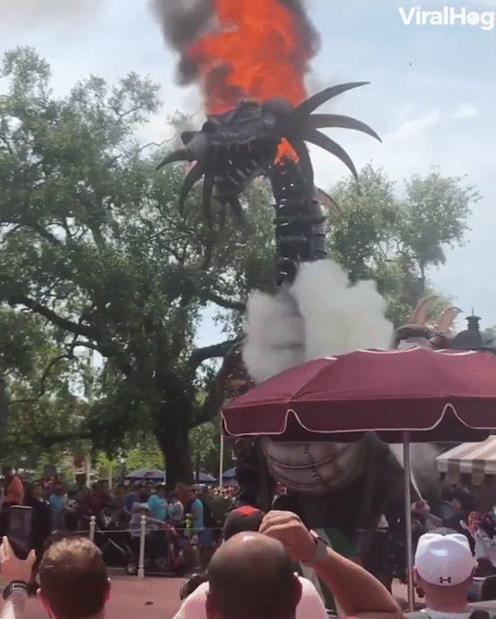 Mô hình rồng lửa bốc cháy dữ dội trong buổi diễu hành, khán giả thích thú đứng xem vì tưởng kiểu nó phải thế - Ảnh 2.