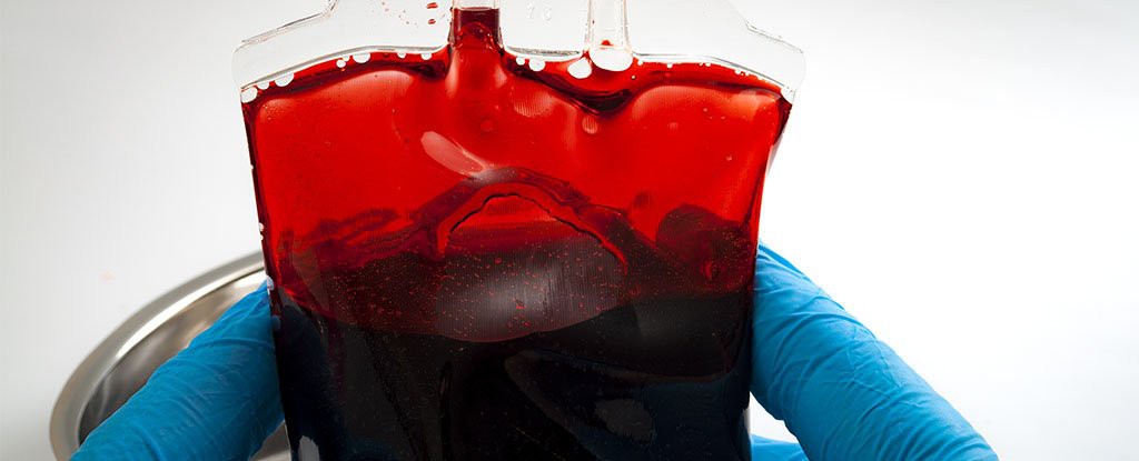 60 năm trời hiến máu, người đàn ông có huyết tương đặc biệt này đã cứu mạng cả triệu trẻ em trên thế giới - Ảnh 2. 60 năm trời hiến máu, người đàn ông có huyết tương đặc biệt này đã cứu mạng cả triệu trẻ em trên thế giới - Ảnh 2.