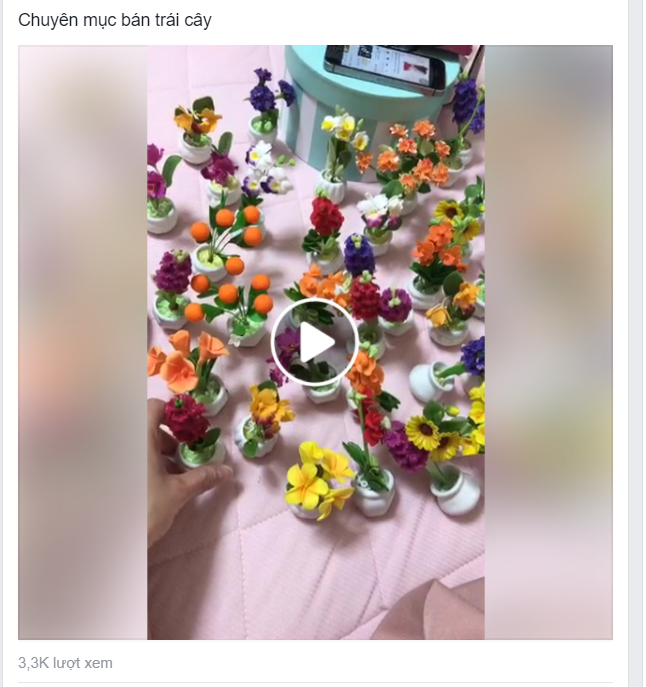 Du học sinh Việt bán hàng online: Từ thuốc tránh thai đến áo ngực, thứ gì cũng có! - Ảnh 3.