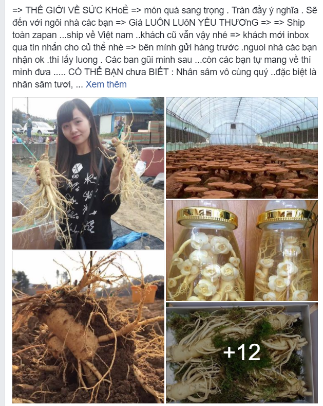 Du học sinh Việt bán hàng online: Từ thuốc tránh thai đến áo ngực, thứ gì cũng có! - Ảnh 8.