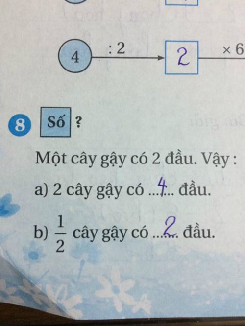Bài toán tưởng dễ như ăn kẹo của học sinh lớp 2 lại khiến dân tình đau đầu không tìm ra đáp án - Ảnh 1.