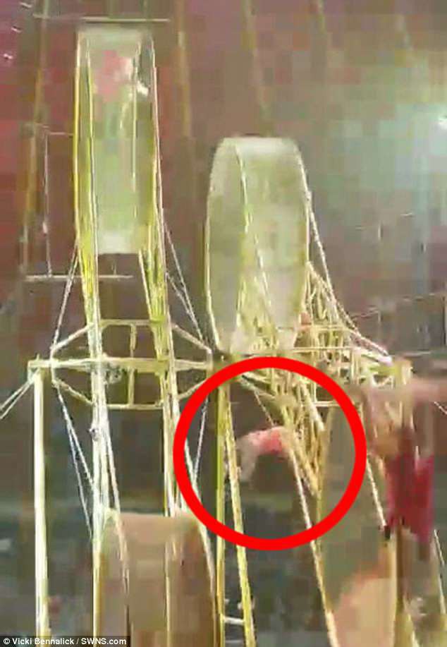 Clip: Đang biểu diễn, diễn viên xiếc gặp nạn rơi từ độ cao hơn 9m xuống sàn - Ảnh 2.