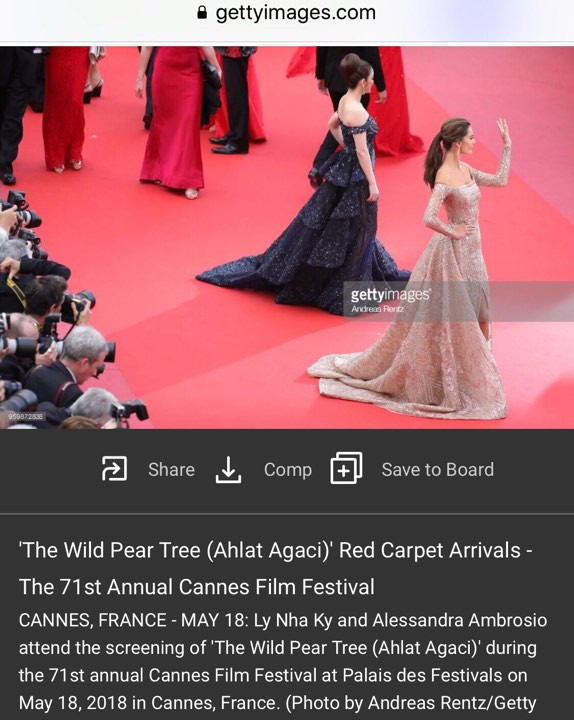 Lý Nhã Kỳ diện váy đính pha lê lấp lánh sánh bước cùng cựu thiên thần Victorias Secret trên thảm đỏ Cannes - Ảnh 11.