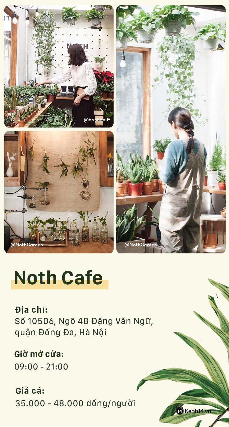 5 quán cafe dành cho hội yêu cây tại Hà Nội - Ảnh 1.