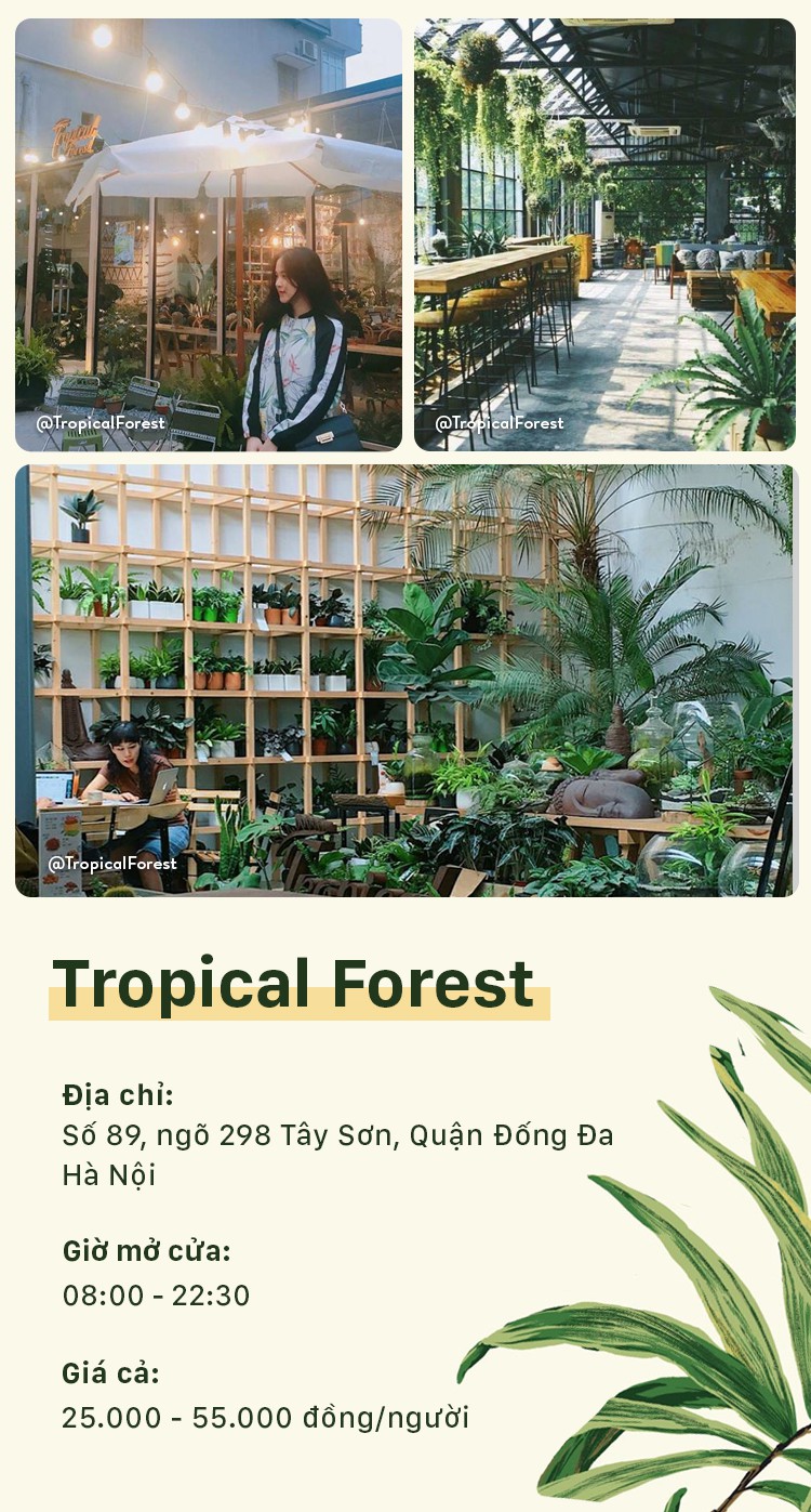 5 quán cafe dành cho hội yêu cây tại Hà Nội - Ảnh 5.