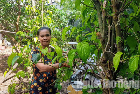 Kỳ lạ người phụ nữ không ăn cơm nhưng vẫn khỏe mạnh, tăng cân - Ảnh 3. Kỳ lạ người phụ nữ không ăn cơm nhưng vẫn khỏe mạnh, tăng cân - Ảnh 3.