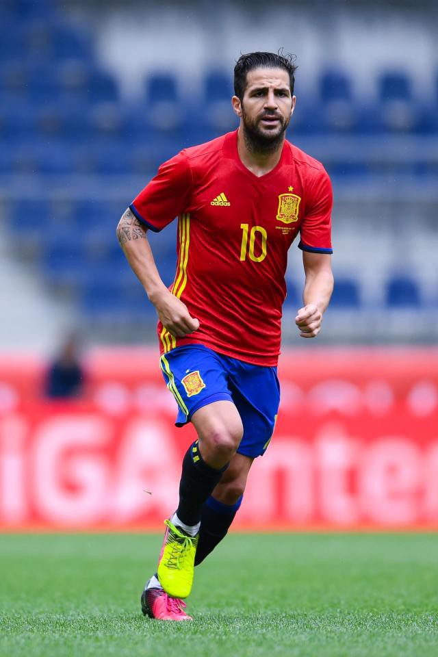 Fabregas, Morata nhận cú sốc bị loại khỏi World Cup 2018 - Ảnh 1.