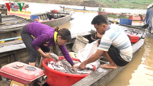 Hàng trăm tấn cá bè trên sông La Ngà chết trong đêm - Ảnh 1.