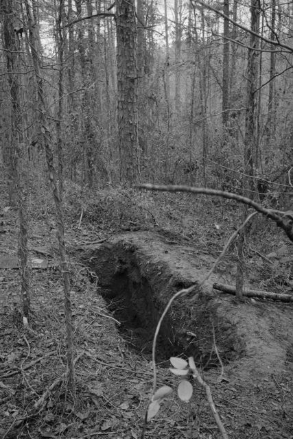 Kỳ án thế kỷ: Vụ án chiếc quan tài giữa rừng hoang và cô gái sống sót kỳ diệu sau 3 ngày bị chôn sống Photo-1-15269571473061564519586