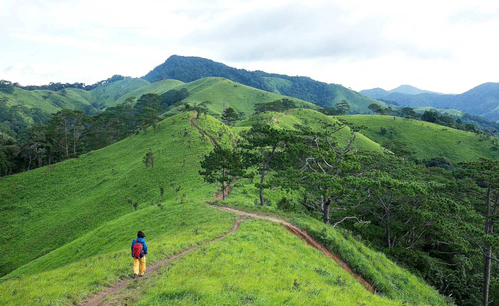 Có nên cấm phượt thủ vào cung trekking Tà Năng – Phan Dũng sau vụ nam phượt thủ tử nạn? - Ảnh 3.