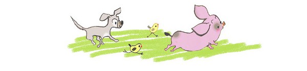 Có phải mùa hè đã bị bắt cóc? - Ảnh 1.